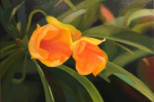 Tropische Blüten