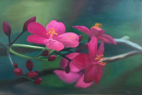 Blüten eines Baumes (Madagaskar)